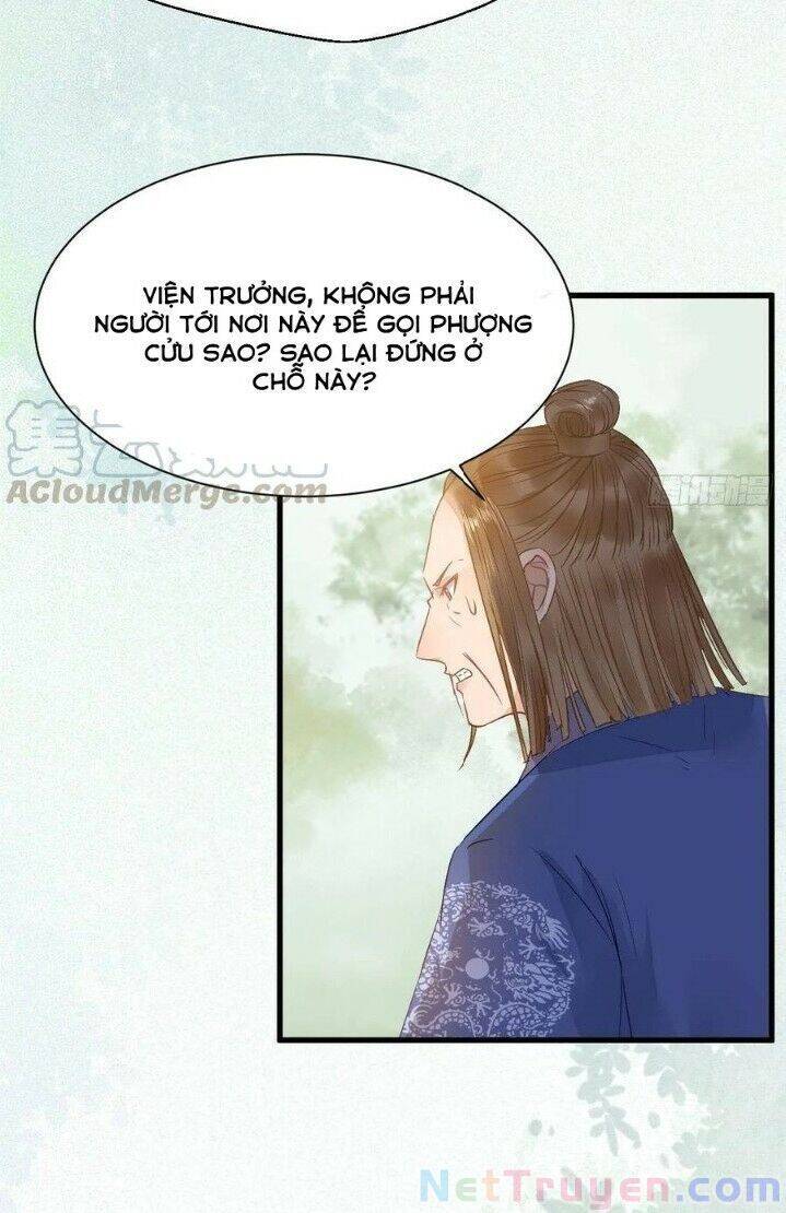 Tuyệt Sắc Quyến Rũ: Quỷ Y Chí Tôn Chapter 269 - Trang 2