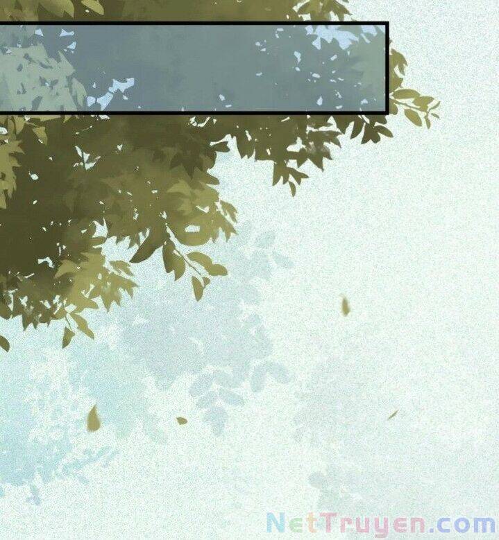 Tuyệt Sắc Quyến Rũ: Quỷ Y Chí Tôn Chapter 269 - Trang 2