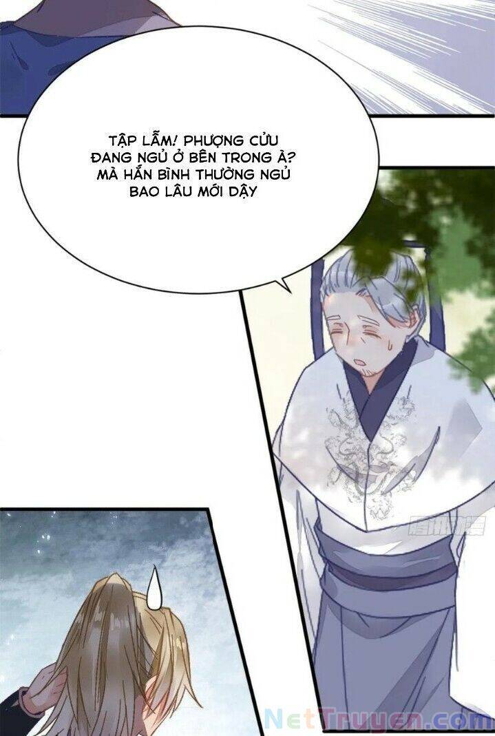 Tuyệt Sắc Quyến Rũ: Quỷ Y Chí Tôn Chapter 269 - Trang 2