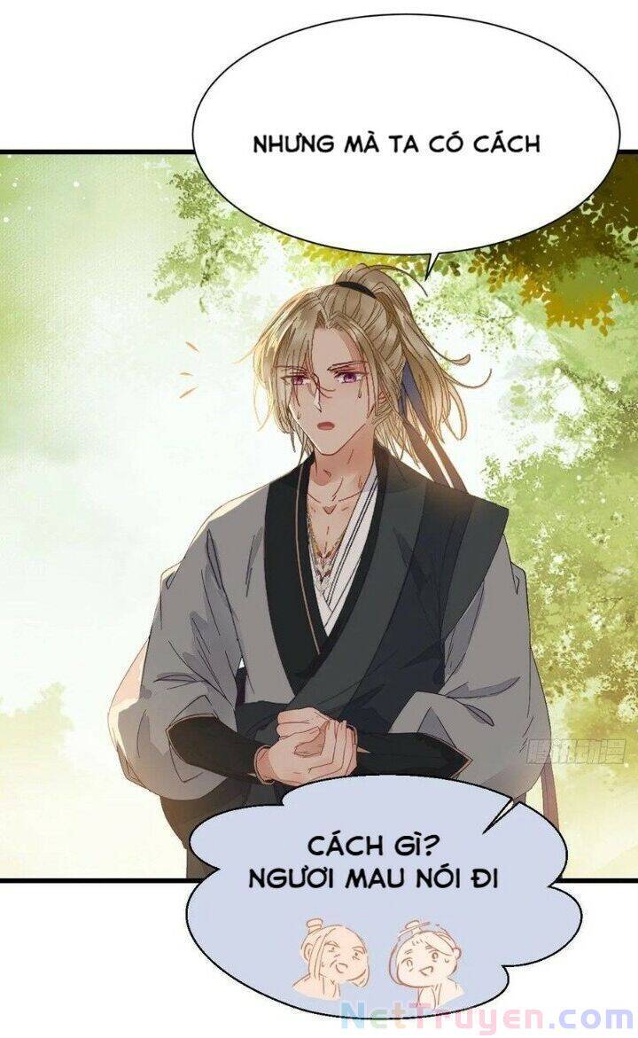 Tuyệt Sắc Quyến Rũ: Quỷ Y Chí Tôn Chapter 269 - Trang 2