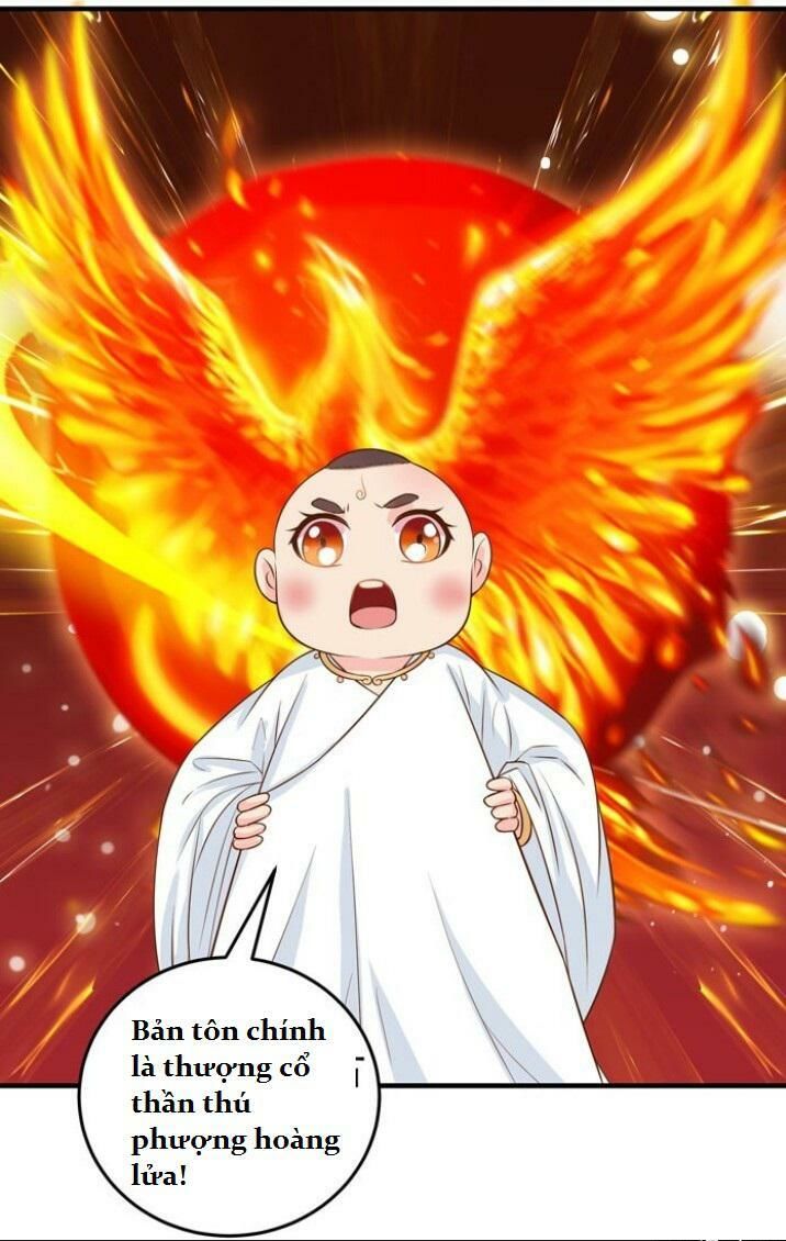 Tuyệt Sắc Quyến Rũ: Quỷ Y Chí Tôn Chapter 27 - Trang 2