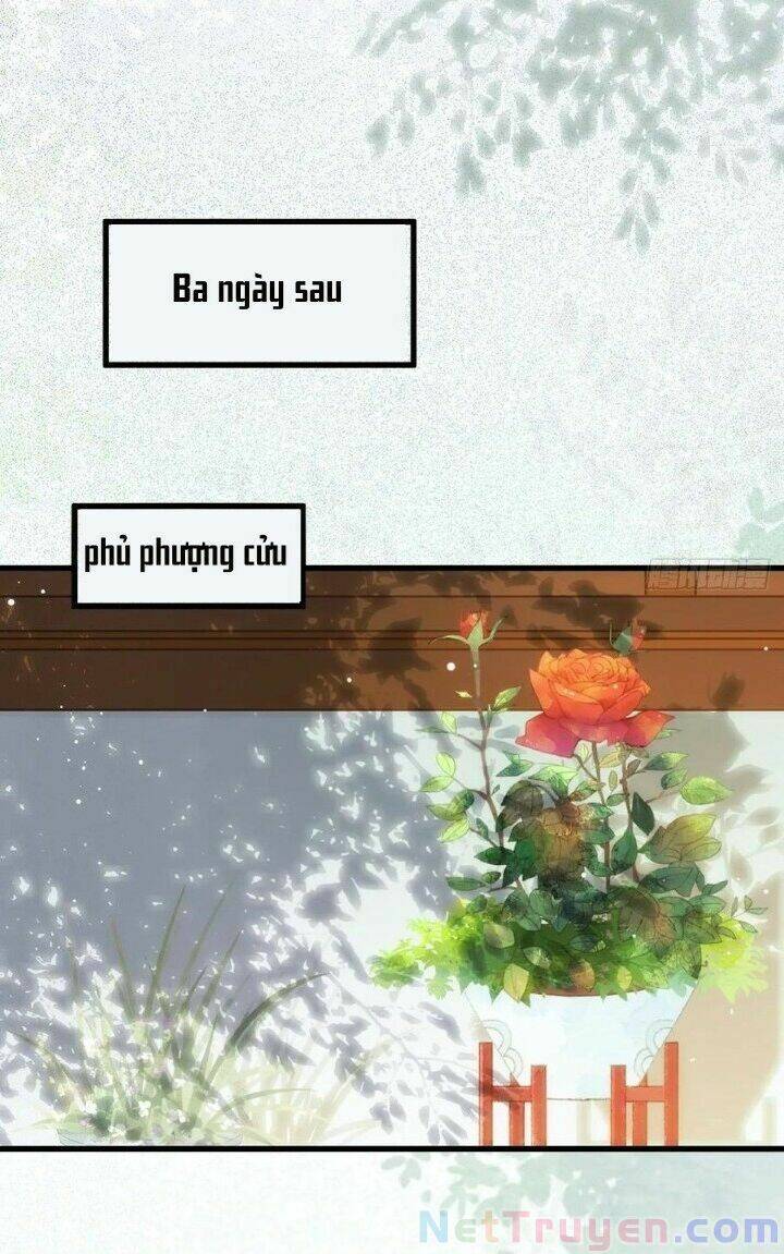 Tuyệt Sắc Quyến Rũ: Quỷ Y Chí Tôn Chapter 271 - Trang 2