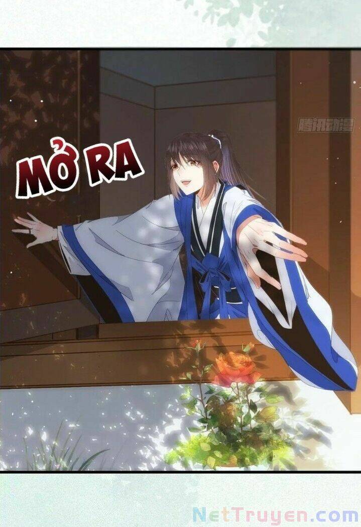 Tuyệt Sắc Quyến Rũ: Quỷ Y Chí Tôn Chapter 271 - Trang 2