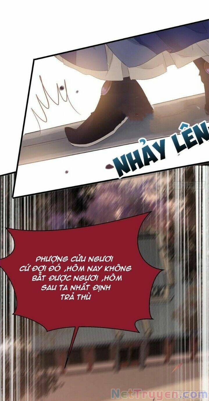 Tuyệt Sắc Quyến Rũ: Quỷ Y Chí Tôn Chapter 273 - Trang 2