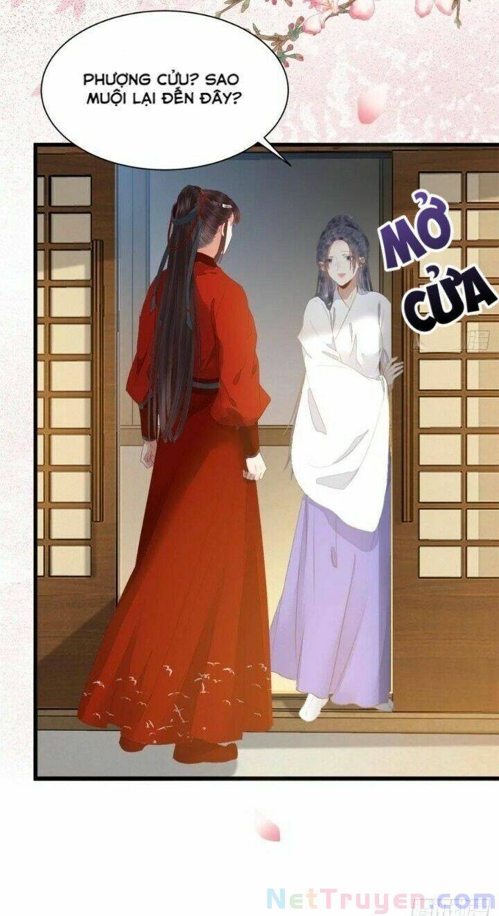 Tuyệt Sắc Quyến Rũ: Quỷ Y Chí Tôn Chapter 273 - Trang 2