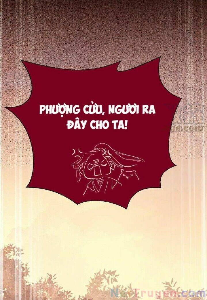 Tuyệt Sắc Quyến Rũ: Quỷ Y Chí Tôn Chapter 273 - Trang 2