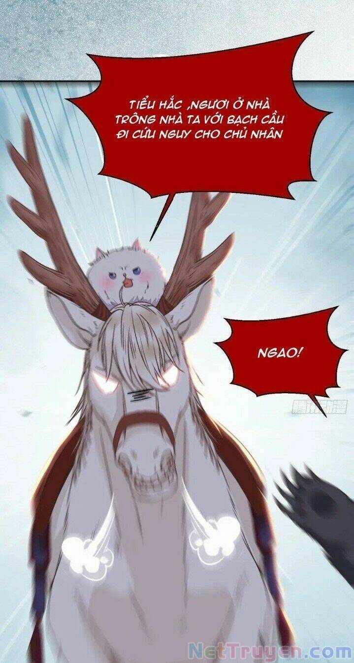 Tuyệt Sắc Quyến Rũ: Quỷ Y Chí Tôn Chapter 276 - Trang 2