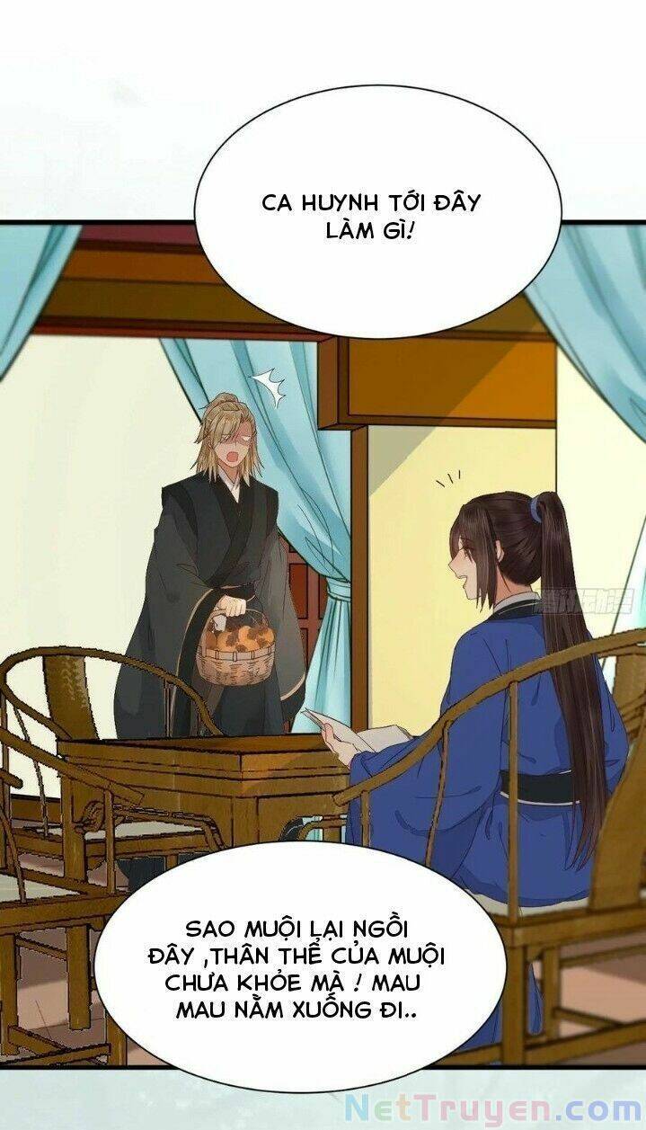 Tuyệt Sắc Quyến Rũ: Quỷ Y Chí Tôn Chapter 281 - Trang 2