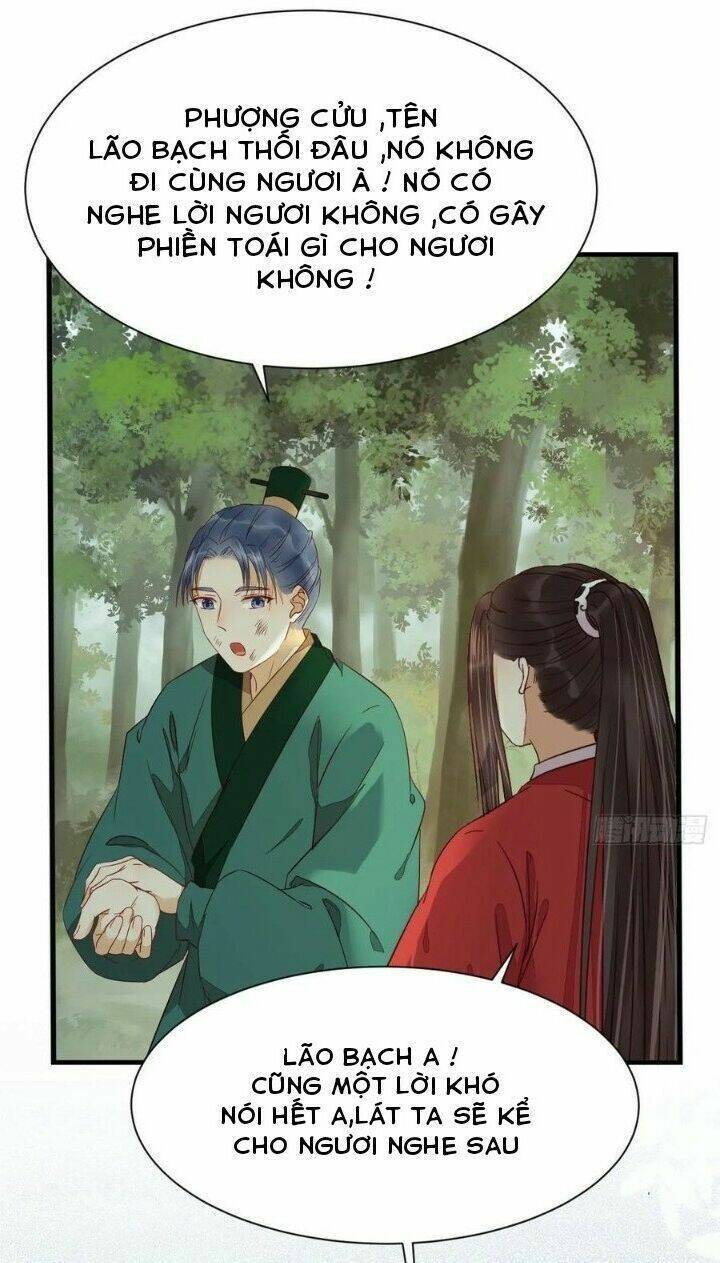 Tuyệt Sắc Quyến Rũ: Quỷ Y Chí Tôn Chapter 284 - Trang 2