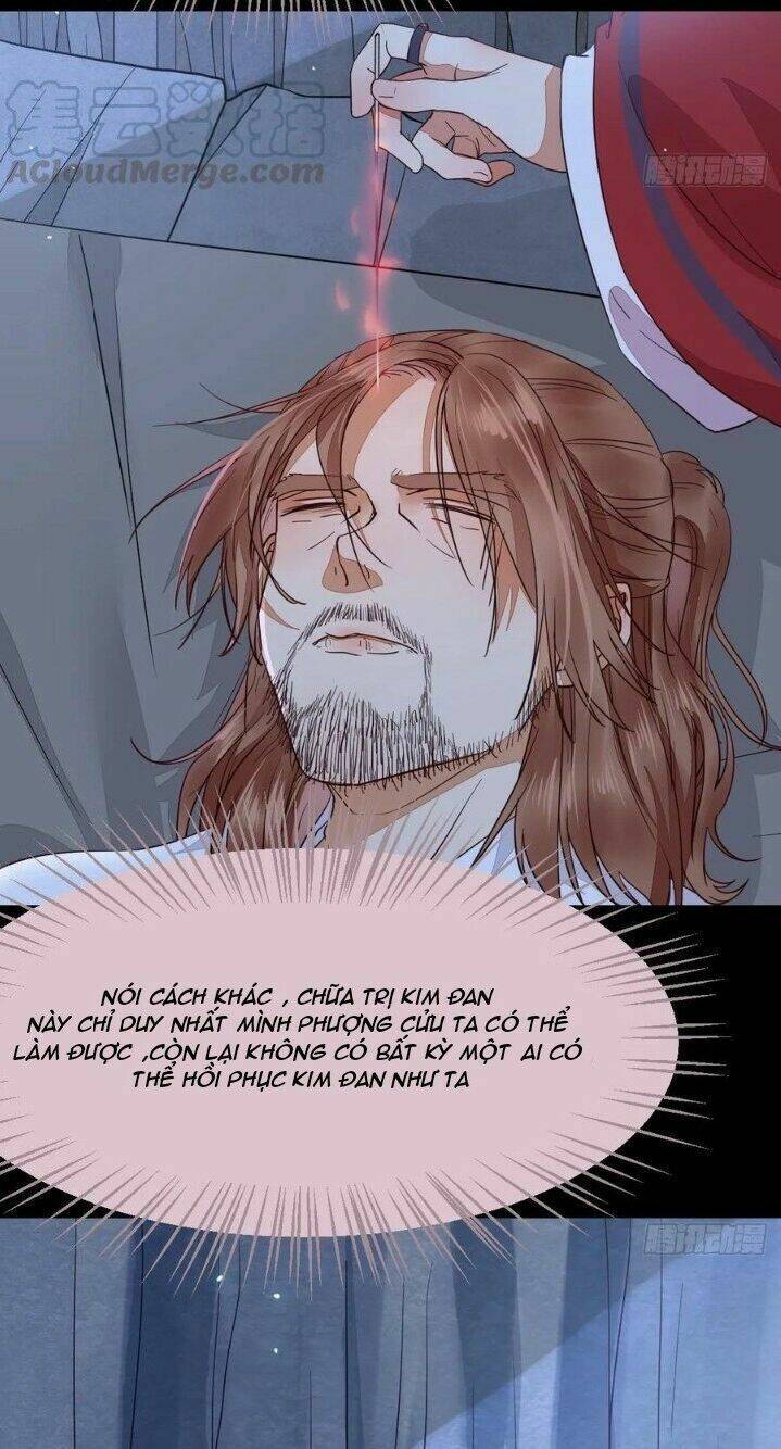 Tuyệt Sắc Quyến Rũ: Quỷ Y Chí Tôn Chapter 289 - Trang 2