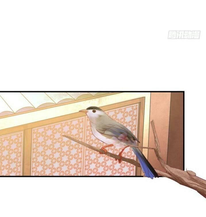 Tuyệt Sắc Quyến Rũ: Quỷ Y Chí Tôn Chapter 31 - Trang 2