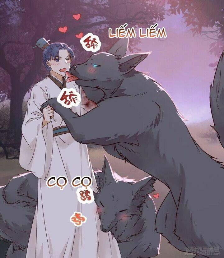 Tuyệt Sắc Quyến Rũ: Quỷ Y Chí Tôn Chapter 312 - Trang 2