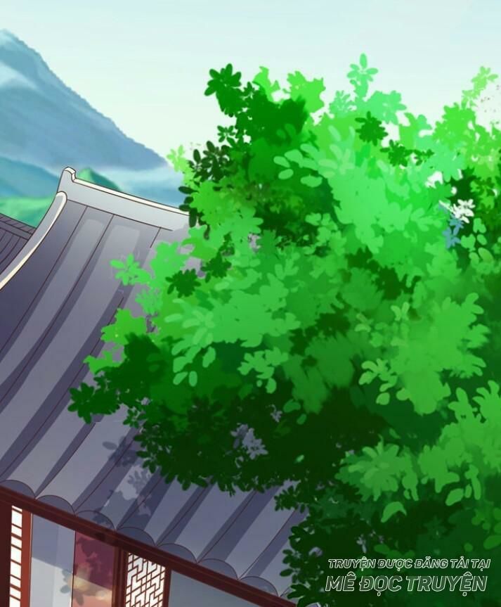 Tuyệt Sắc Quyến Rũ: Quỷ Y Chí Tôn Chapter 35 - Trang 2