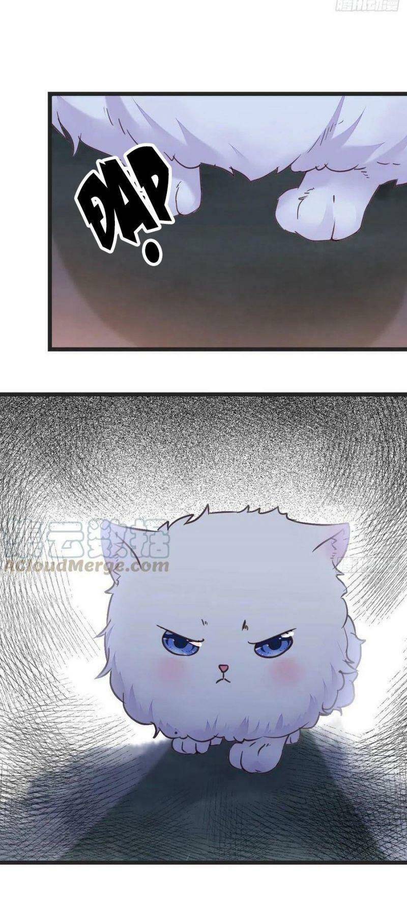 Tuyệt Sắc Quyến Rũ: Quỷ Y Chí Tôn Chapter 355 - Trang 2