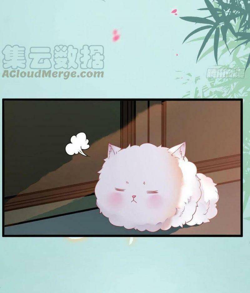 Tuyệt Sắc Quyến Rũ: Quỷ Y Chí Tôn Chapter 376 - Trang 2