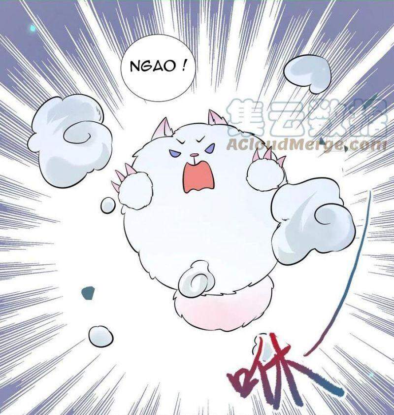 Tuyệt Sắc Quyến Rũ: Quỷ Y Chí Tôn Chapter 416 - Trang 2