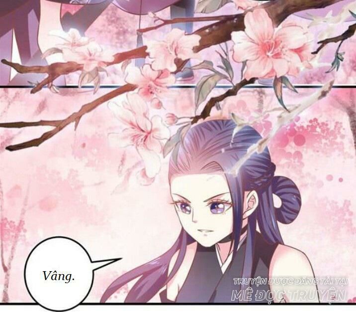Tuyệt Sắc Quyến Rũ: Quỷ Y Chí Tôn Chapter 42 - Trang 2