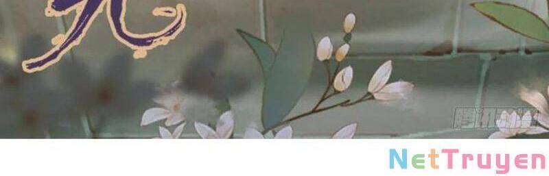 Tuyệt Sắc Quyến Rũ: Quỷ Y Chí Tôn Chapter 444 - Trang 2