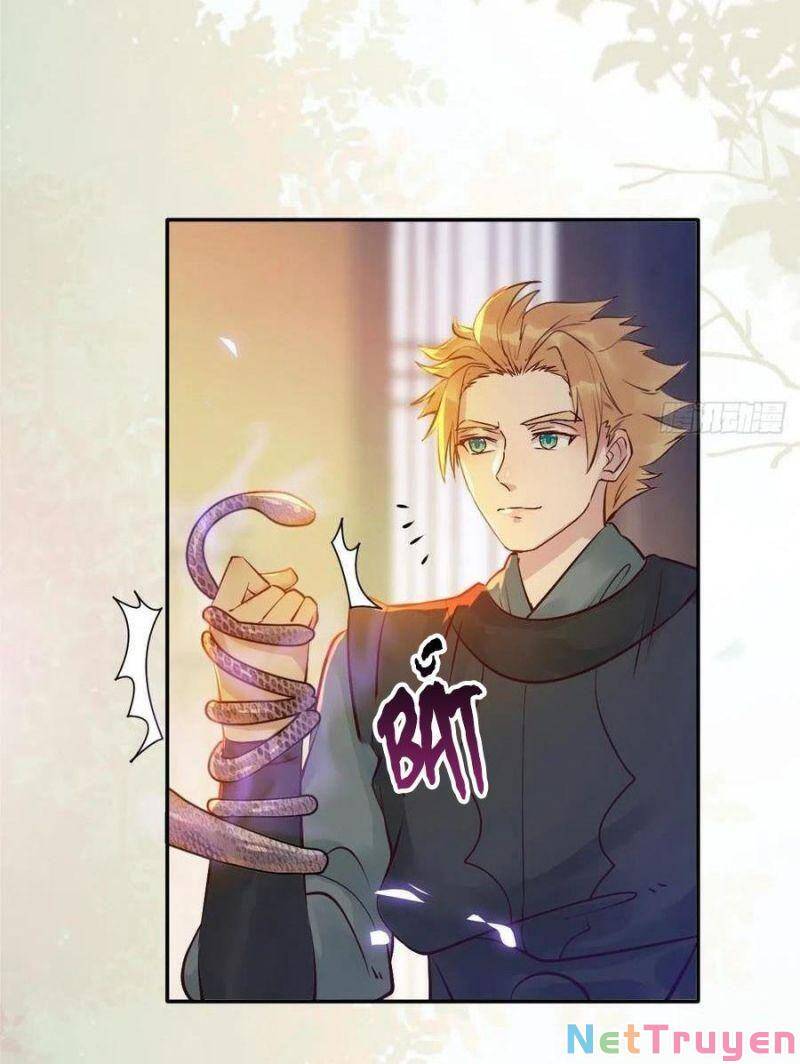 Tuyệt Sắc Quyến Rũ: Quỷ Y Chí Tôn Chapter 444 - Trang 2