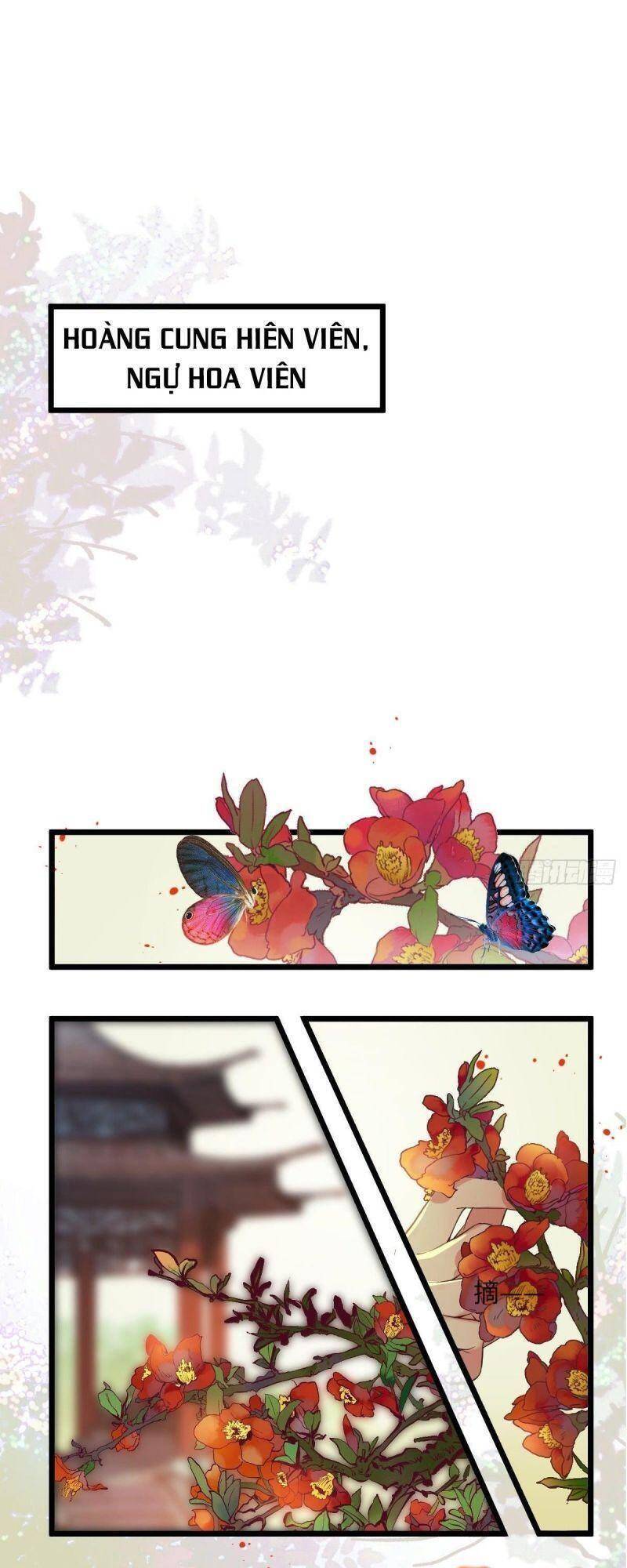 Tuyệt Sắc Quyến Rũ: Quỷ Y Chí Tôn Chapter 464 - Trang 2