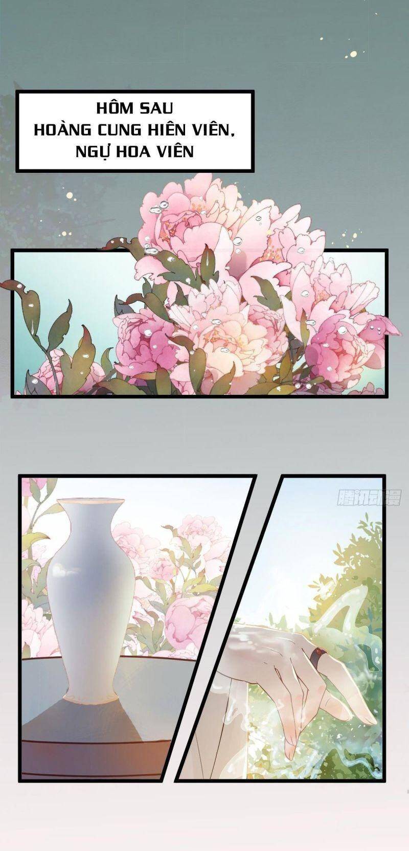 Tuyệt Sắc Quyến Rũ: Quỷ Y Chí Tôn Chapter 464 - Trang 2