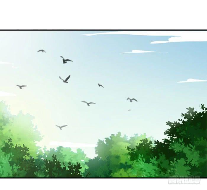 Tuyệt Sắc Quyến Rũ: Quỷ Y Chí Tôn Chapter 5 - Trang 2