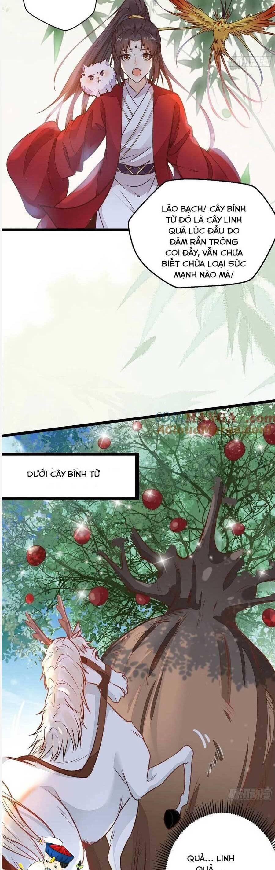 Tuyệt Sắc Quyến Rũ: Quỷ Y Chí Tôn Chapter 504 - Trang 2