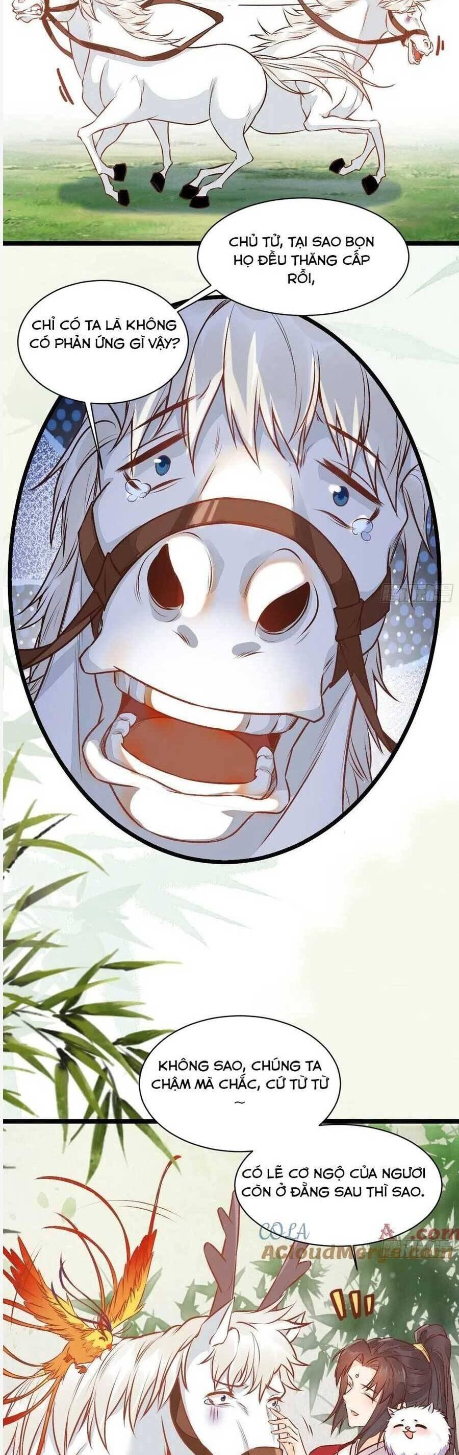 Tuyệt Sắc Quyến Rũ: Quỷ Y Chí Tôn Chapter 504 - Trang 2