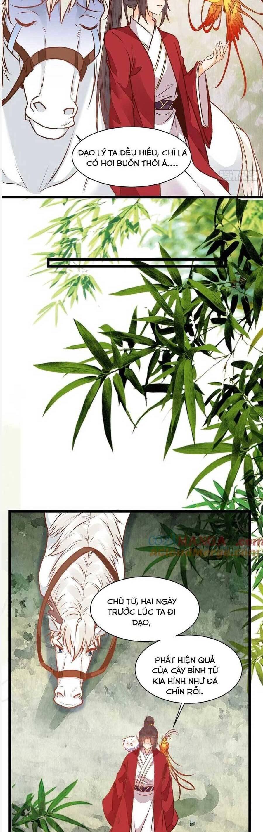 Tuyệt Sắc Quyến Rũ: Quỷ Y Chí Tôn Chapter 504 - Trang 2