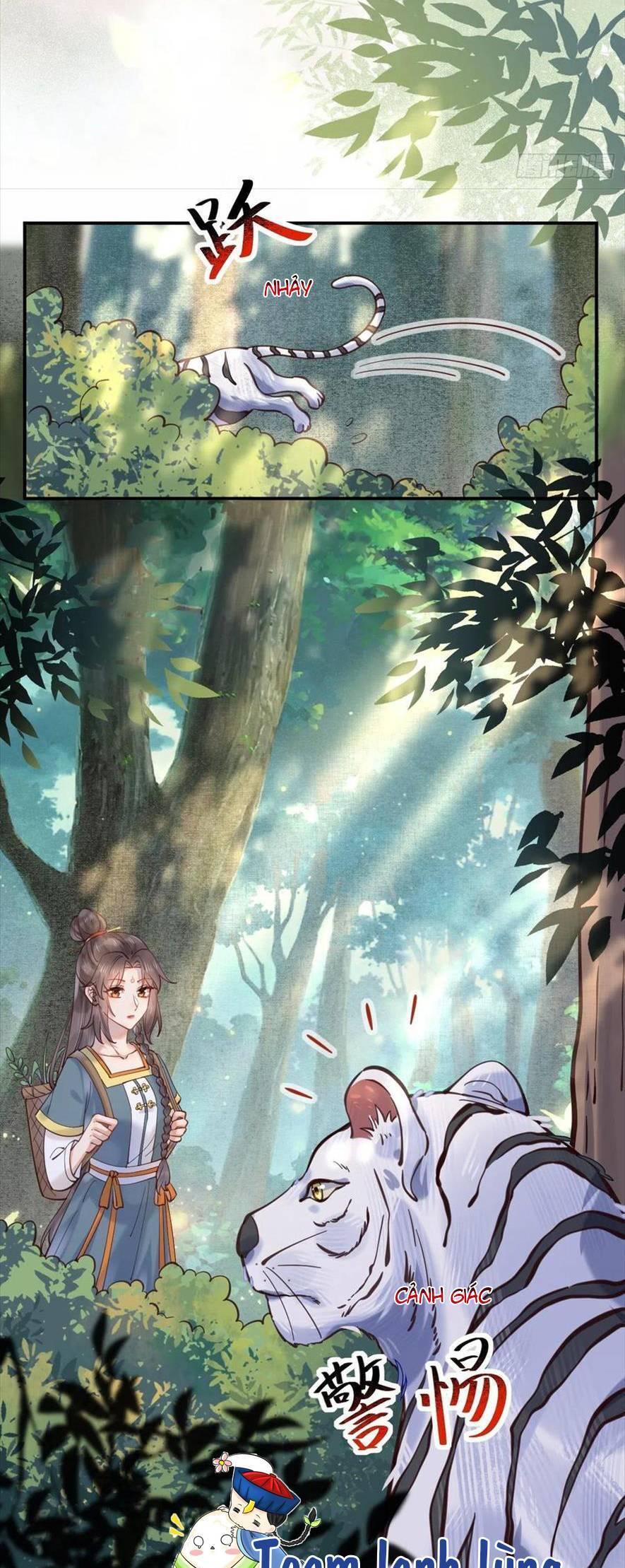 Tuyệt Sắc Quyến Rũ: Quỷ Y Chí Tôn Chapter 538 - Trang 2