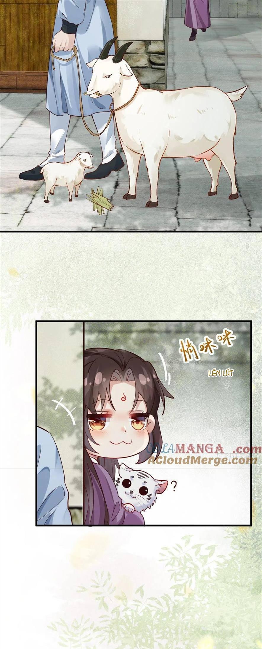 Tuyệt Sắc Quyến Rũ: Quỷ Y Chí Tôn Chapter 540 - Trang 2