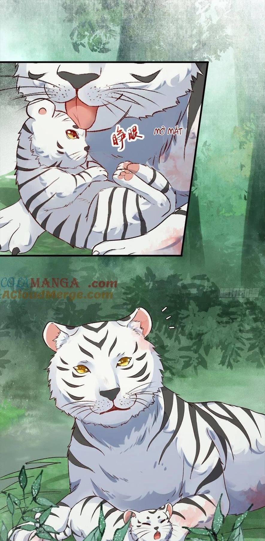 Tuyệt Sắc Quyến Rũ: Quỷ Y Chí Tôn Chapter 540 - Trang 2