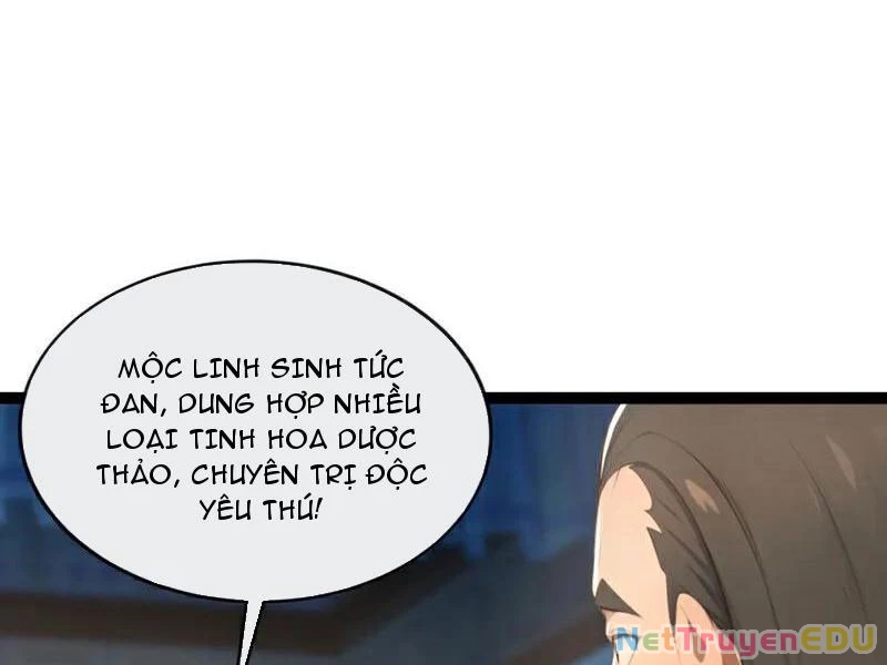 Tuyệt Thế Đan Thần Chapter 197 - Trang 2