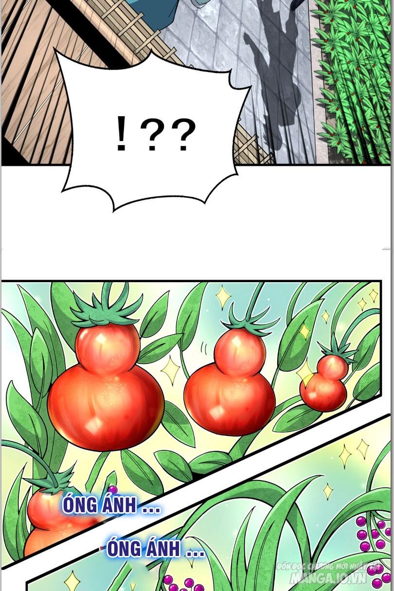 Tuyệt Thế Đan Thần Chapter 3 - Trang 2