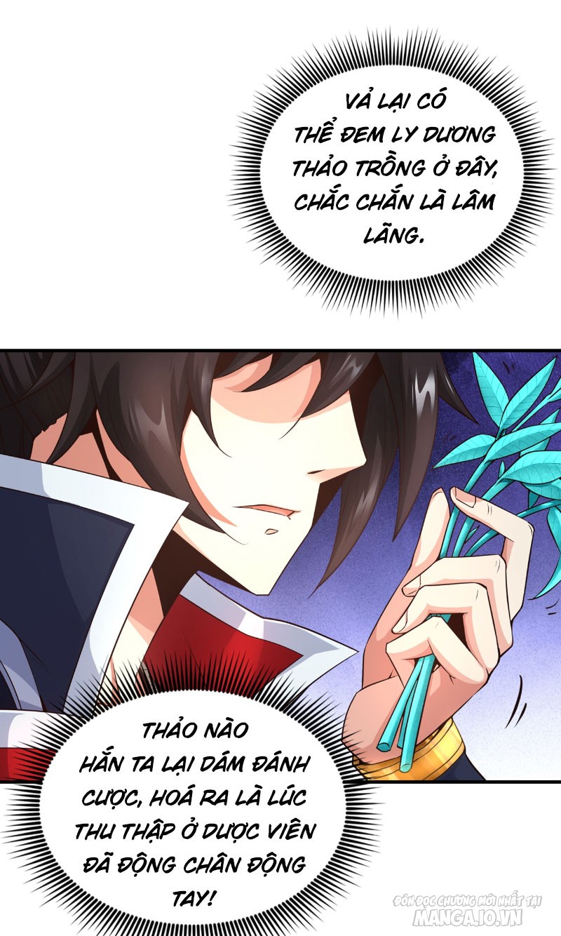Tuyệt Thế Đan Thần Chapter 3 - Trang 2