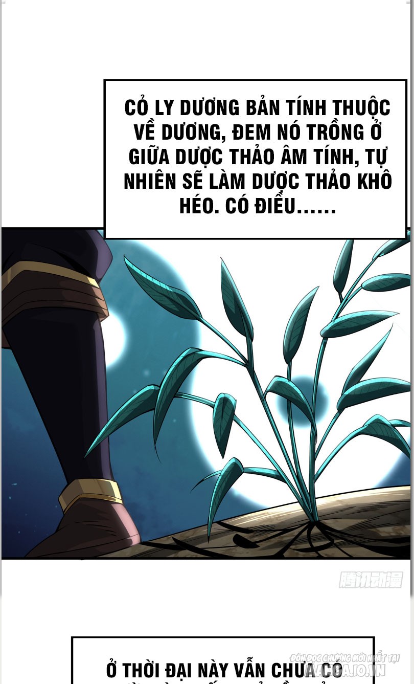 Tuyệt Thế Đan Thần Chapter 4 - Trang 2