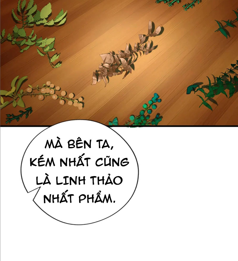 Tuyệt Thế Đan Thần Chapter 46 - Trang 2