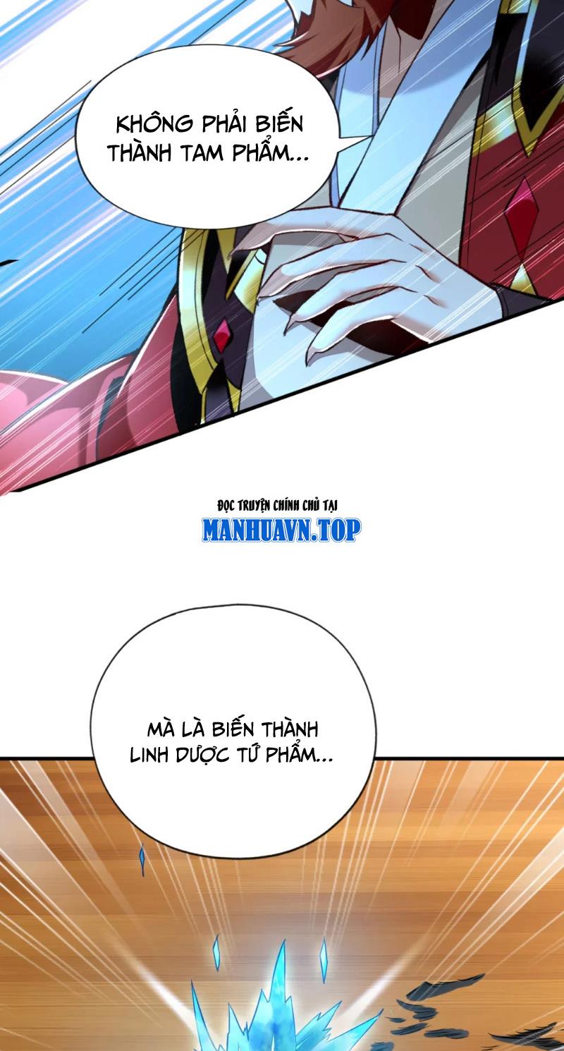 Tuyệt Thế Đan Thần Chapter 47 - Trang 2