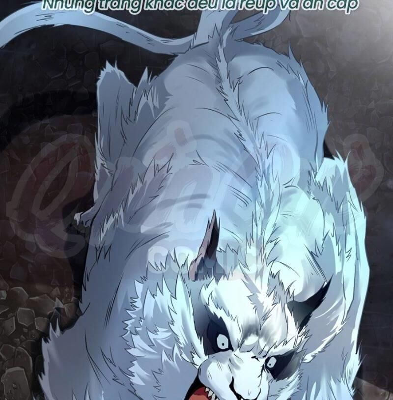 Tuyệt Thế Đế Tôn Chapter 12 - Trang 2