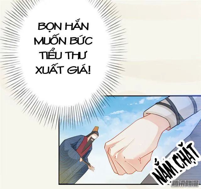 Tuyệt Thế Luyện Đan Sư Chapter 10 - Trang 2