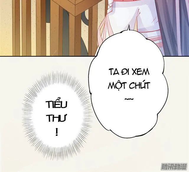 Tuyệt Thế Luyện Đan Sư Chapter 10 - Trang 2