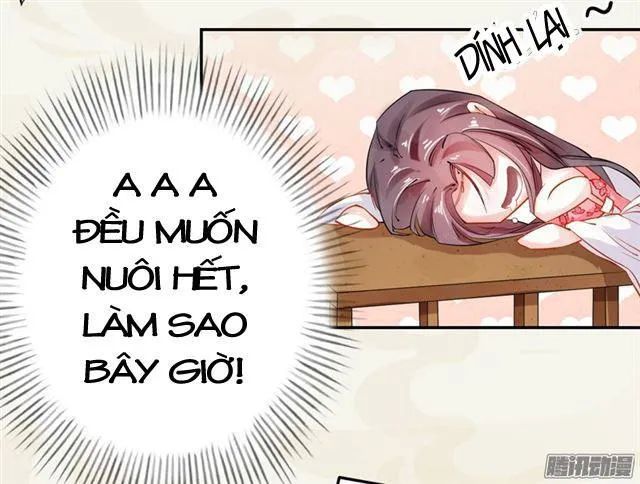 Tuyệt Thế Luyện Đan Sư Chapter 10 - Trang 2