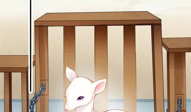 Tuyệt Thế Luyện Đan Sư Chapter 10 - Trang 2