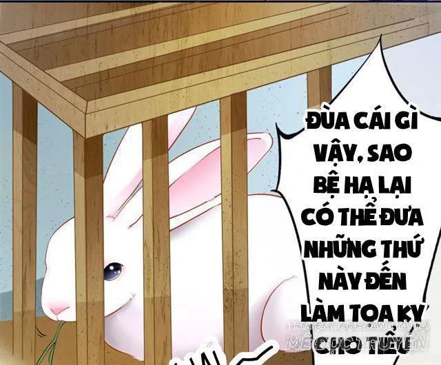 Tuyệt Thế Luyện Đan Sư Chapter 10 - Trang 2