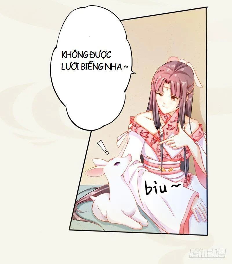 Tuyệt Thế Luyện Đan Sư Chapter 12 - Trang 2