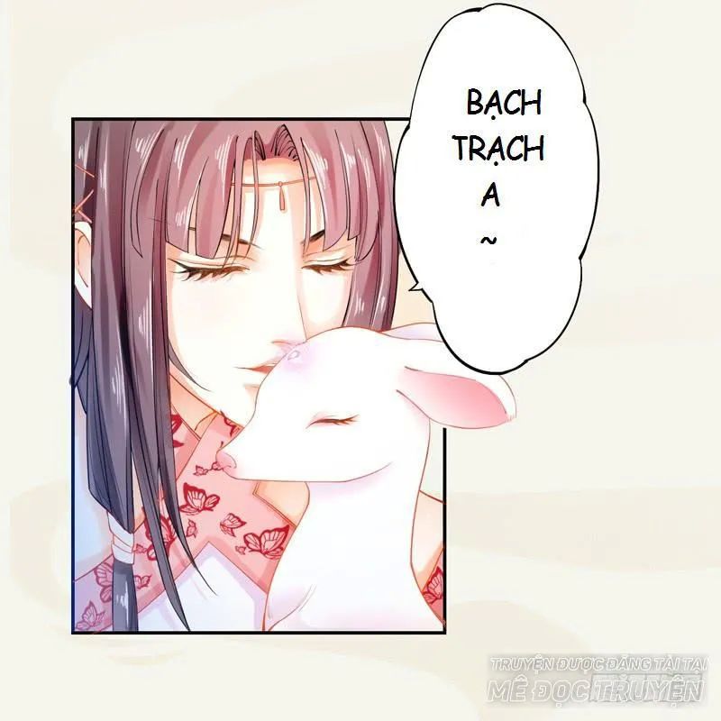 Tuyệt Thế Luyện Đan Sư Chapter 12 - Trang 2