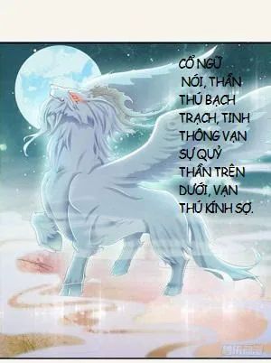 Tuyệt Thế Luyện Đan Sư Chapter 12 - Trang 2