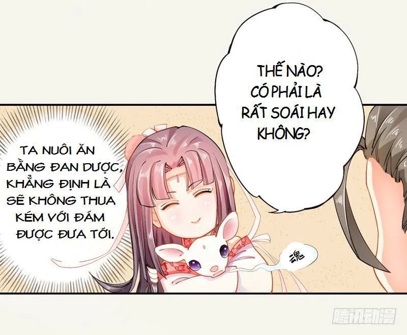 Tuyệt Thế Luyện Đan Sư Chapter 12 - Trang 2