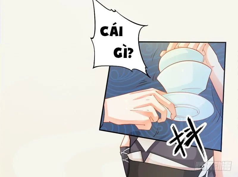 Tuyệt Thế Luyện Đan Sư Chapter 13 - Trang 2