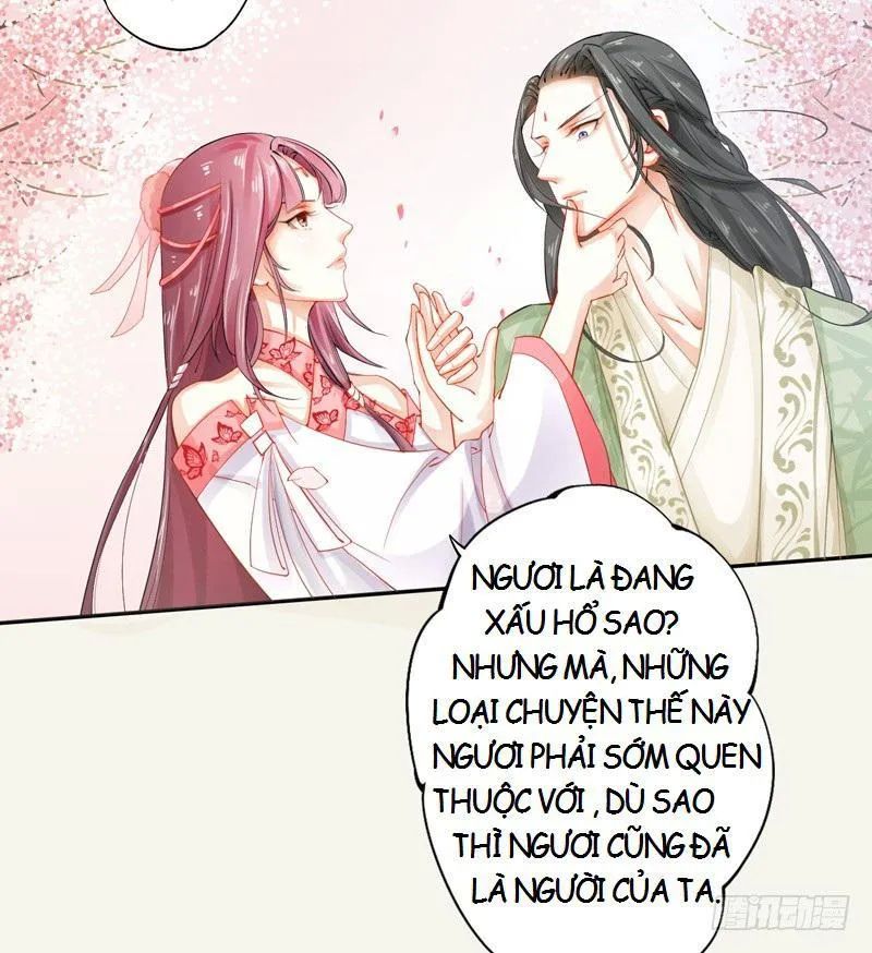 Tuyệt Thế Luyện Đan Sư Chapter 13 - Trang 2